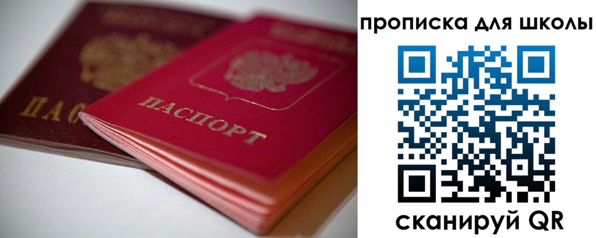 прописка для школы в Каменск-Шахтинском